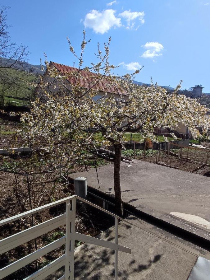 Apartman Bor Ливно Екстериор снимка